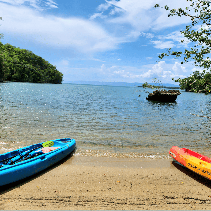 Private 2-Hour Kayaking Tour in Los Haitises National Park