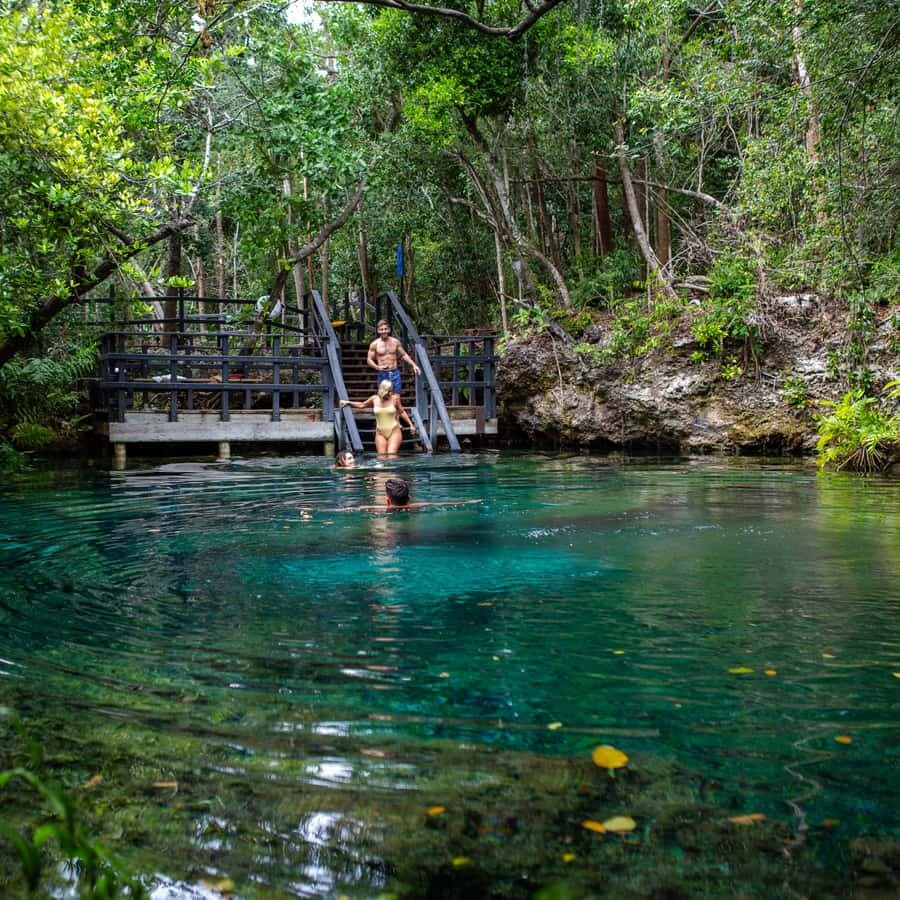 Swim in the Cenotes Ojos Indígenas