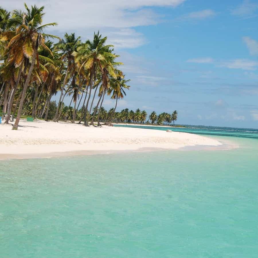 Saona Island: Tour of the 4 Beaches with Canto de la Playa