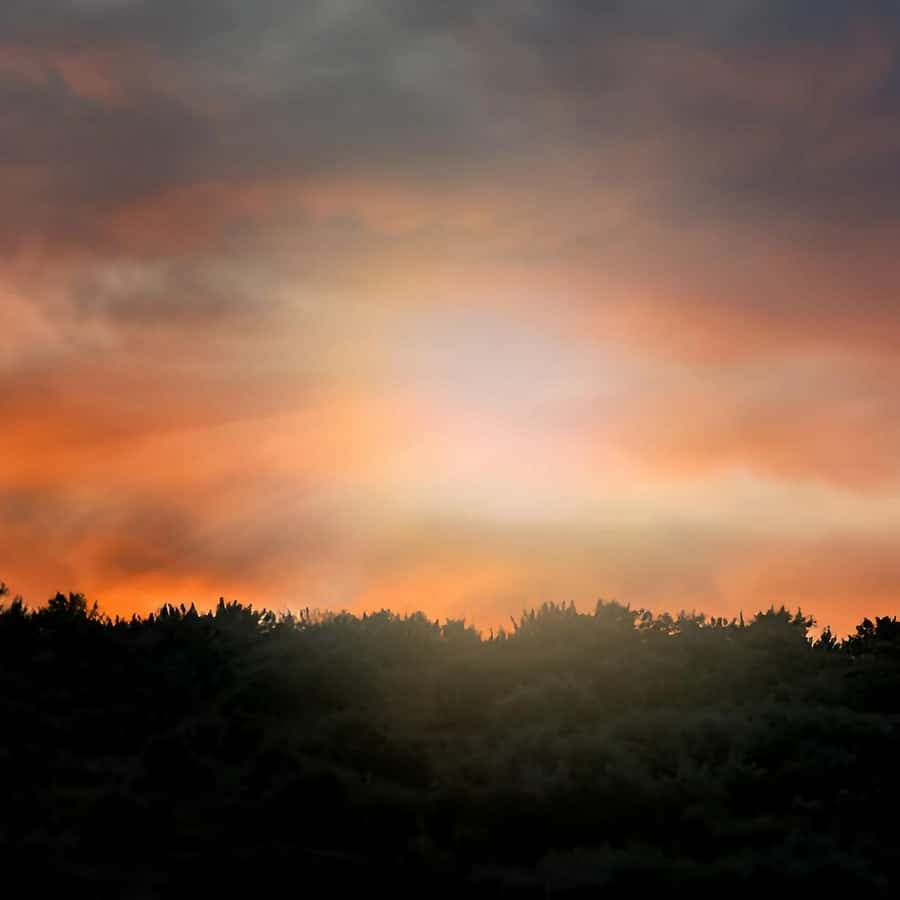 Punta Cana: Sunset Horseback Ride in Macao Beach and Forest