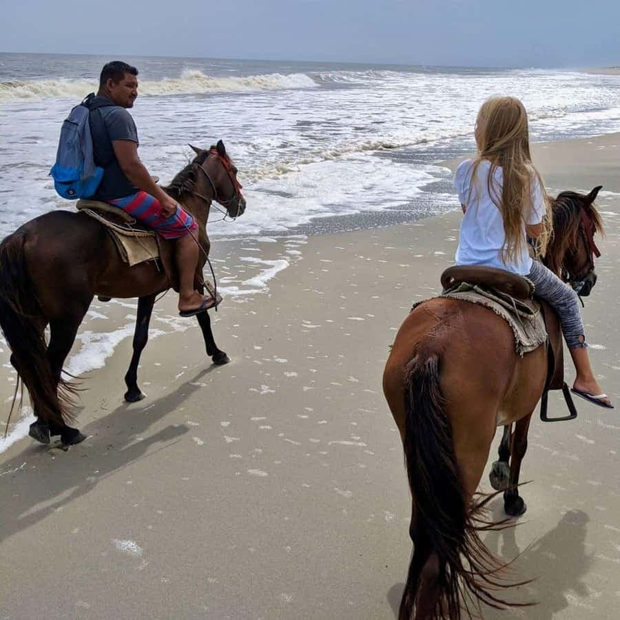 Coastal Trails & Culture: Horseback Sunset Experience