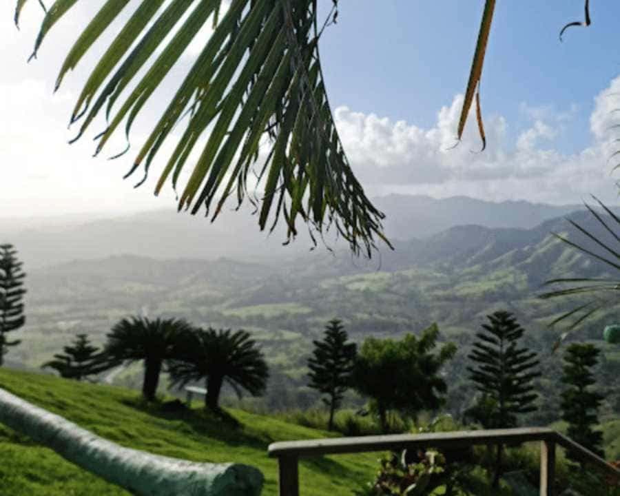 Punta Cana: Montaña Redonda Tour with Lunch & 4x4 Ride