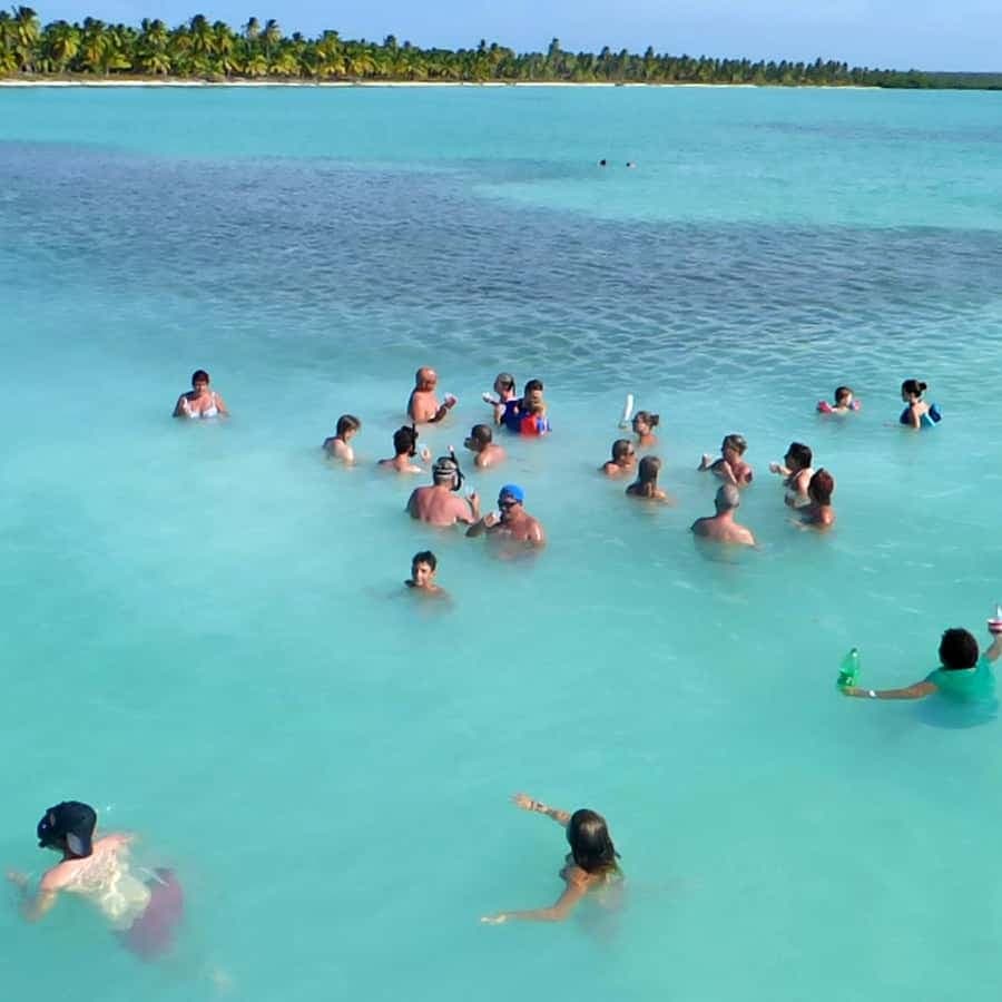 Saona Island Tour From Santo Domingo with Lunch and Pickup
