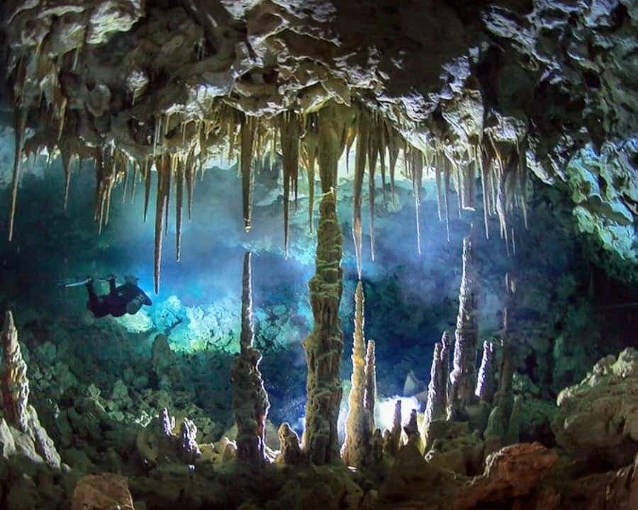 Punta Cana: Cave Diving Experience at Two Unique Dive Spots