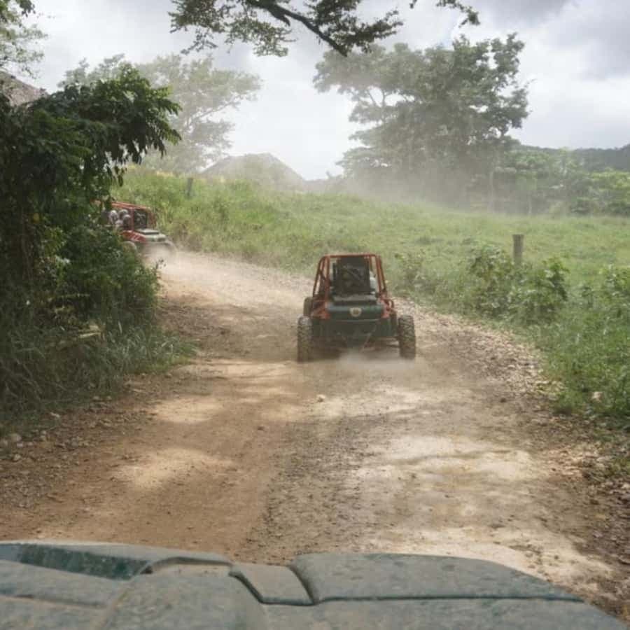 From Punta Cana or La Romana: Sugarcane Fields Buggy or Quad - Dominican Republic