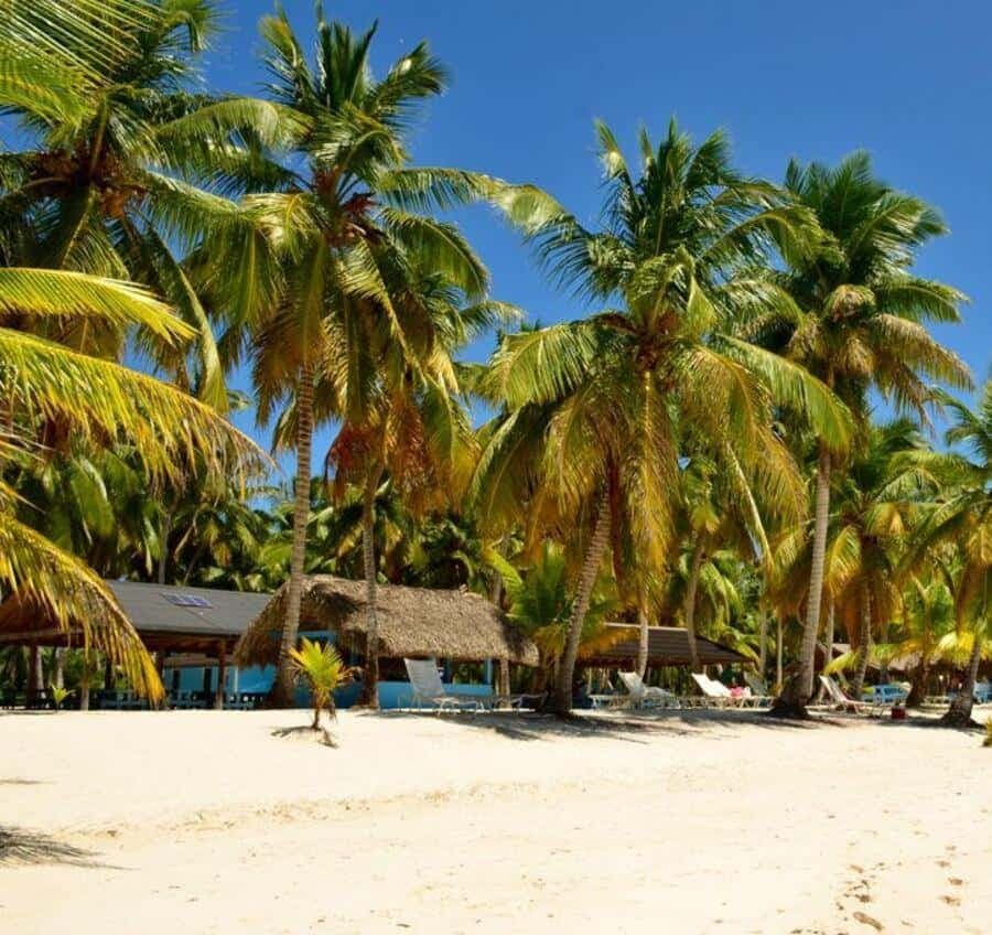 All-Inclusive Excursion to Saona Island from Punta Cana: Lunch and Open Bar