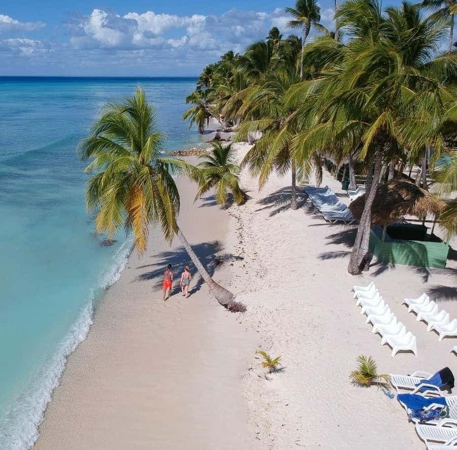 Saona Island all day with lunch and open bar departing from Punta Cana