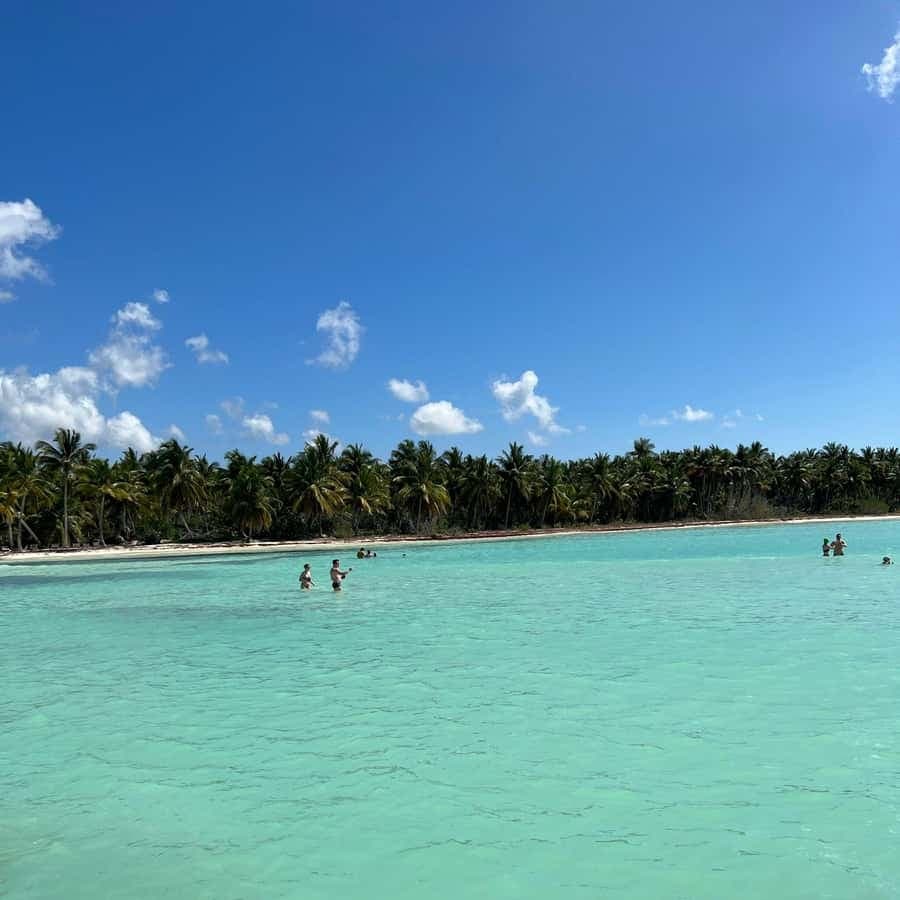 Saona Island & Chavon River Tour with Lunch & Drinks