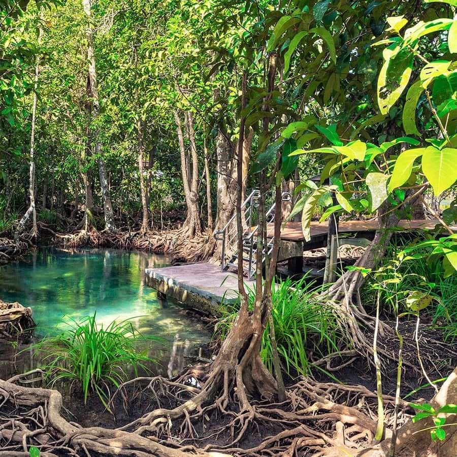 Mangroves, Mogotes and Mountains from Punta Cana - Dominican Republic