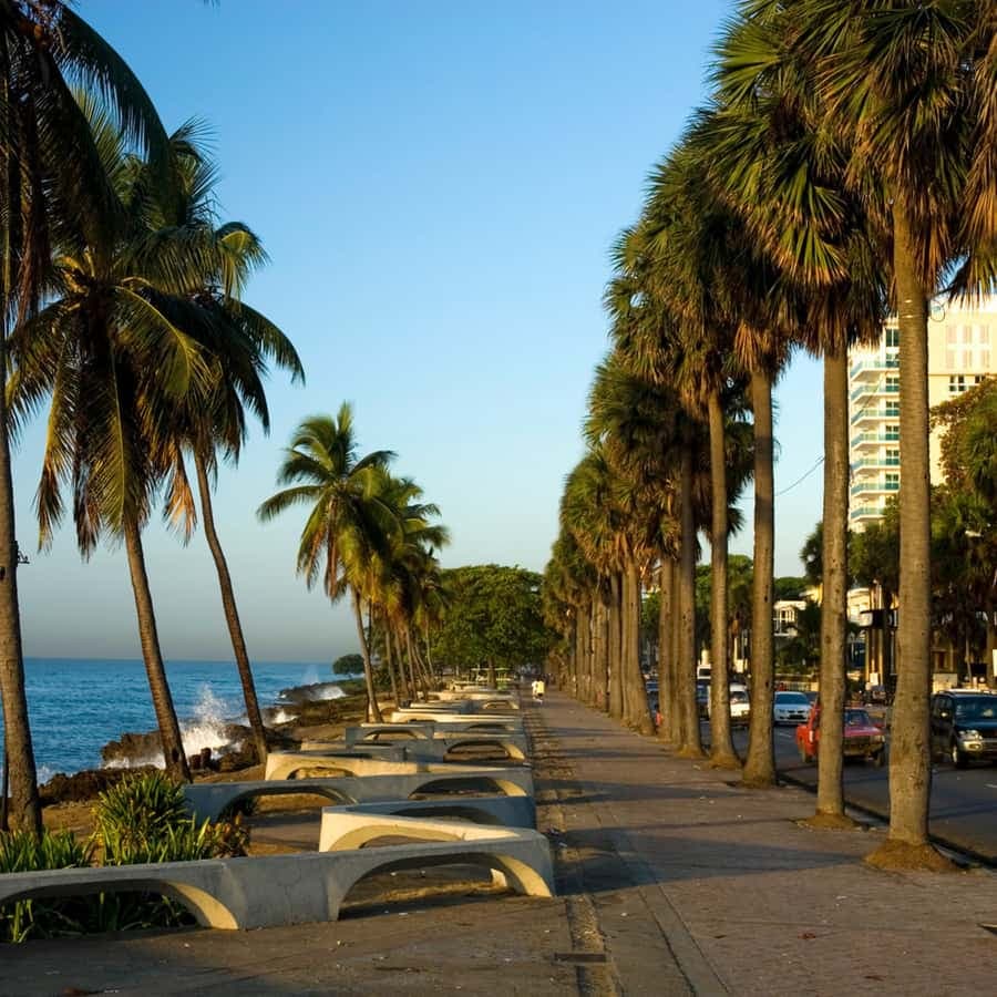 From Punta Cana: Full-Day Santo Domingo City Tour