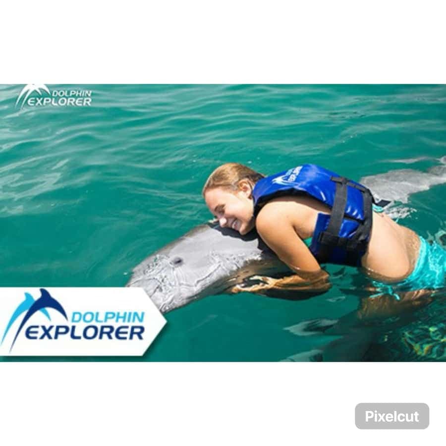Punta Cana: Dolphin Park Entry and Swim with Dolphins