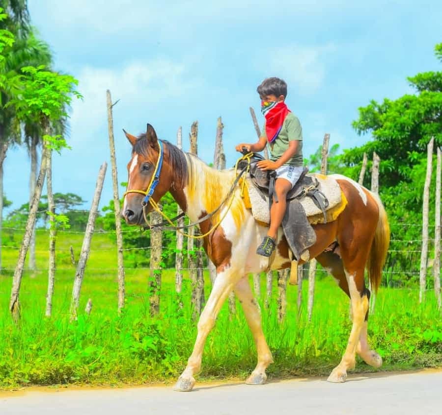 ATV Ride Cenote, Chocolate, Coffee Tasting & Horse back ride