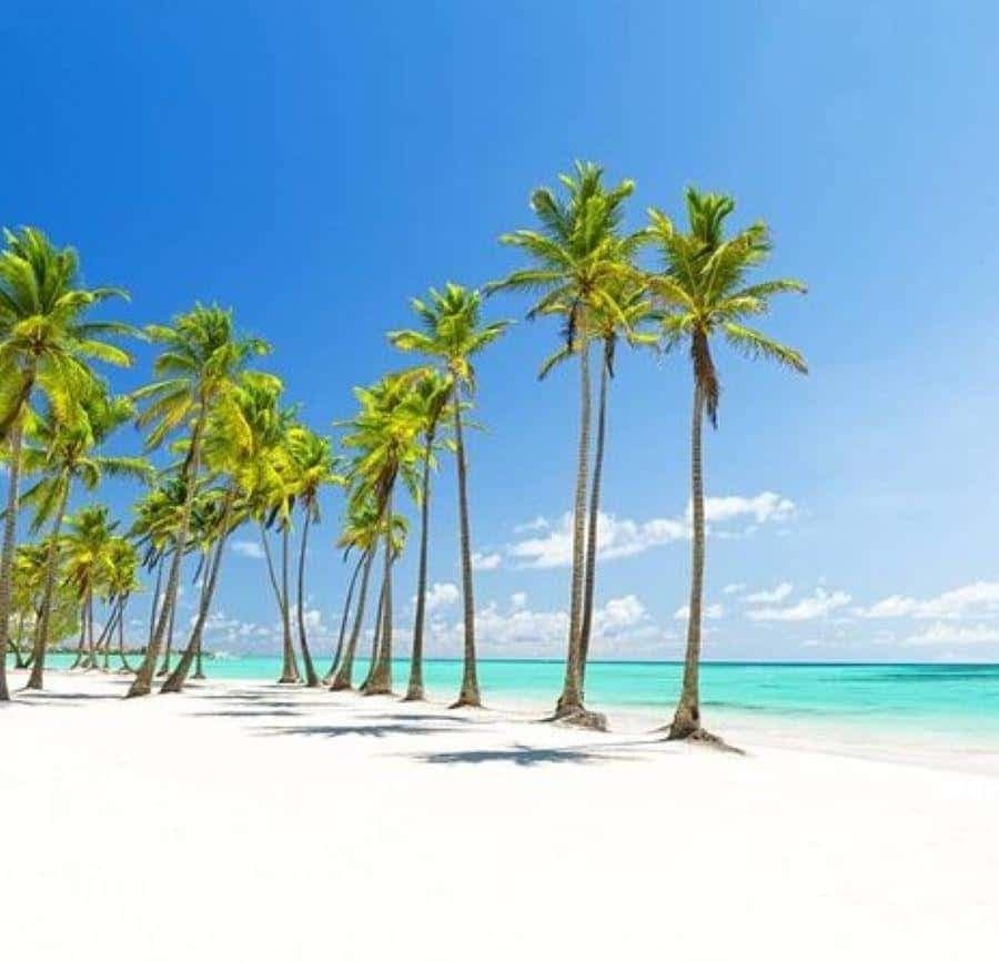 Punta Cana: Catalina Island Classic or VIP Sailing Tour