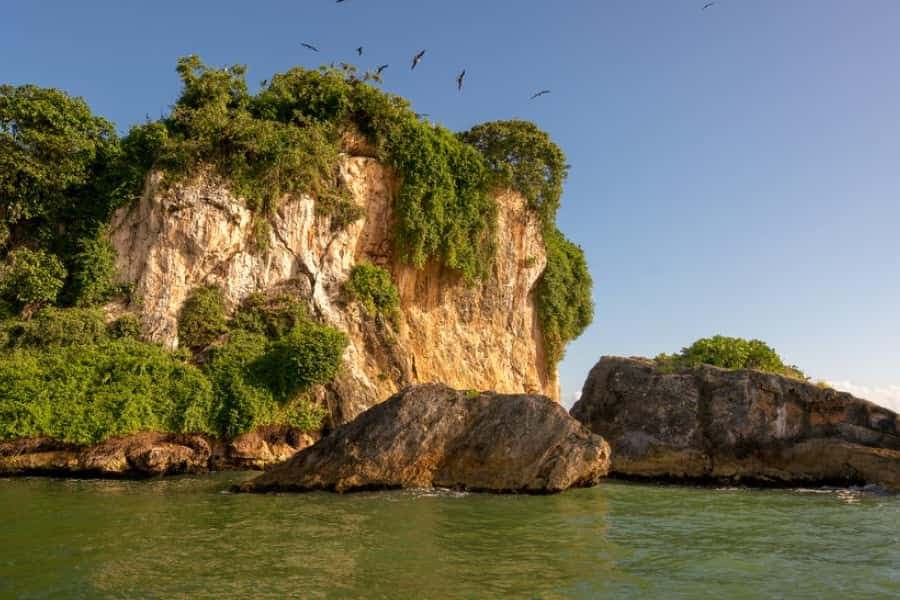 From Punta Cana: Los Haitises Tour: Mangroves, Caves + Round Mountain