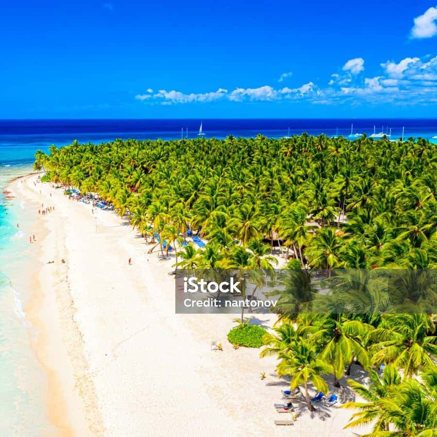 Punta Cana: Saona Island Cruise with Lunch & Open Bar