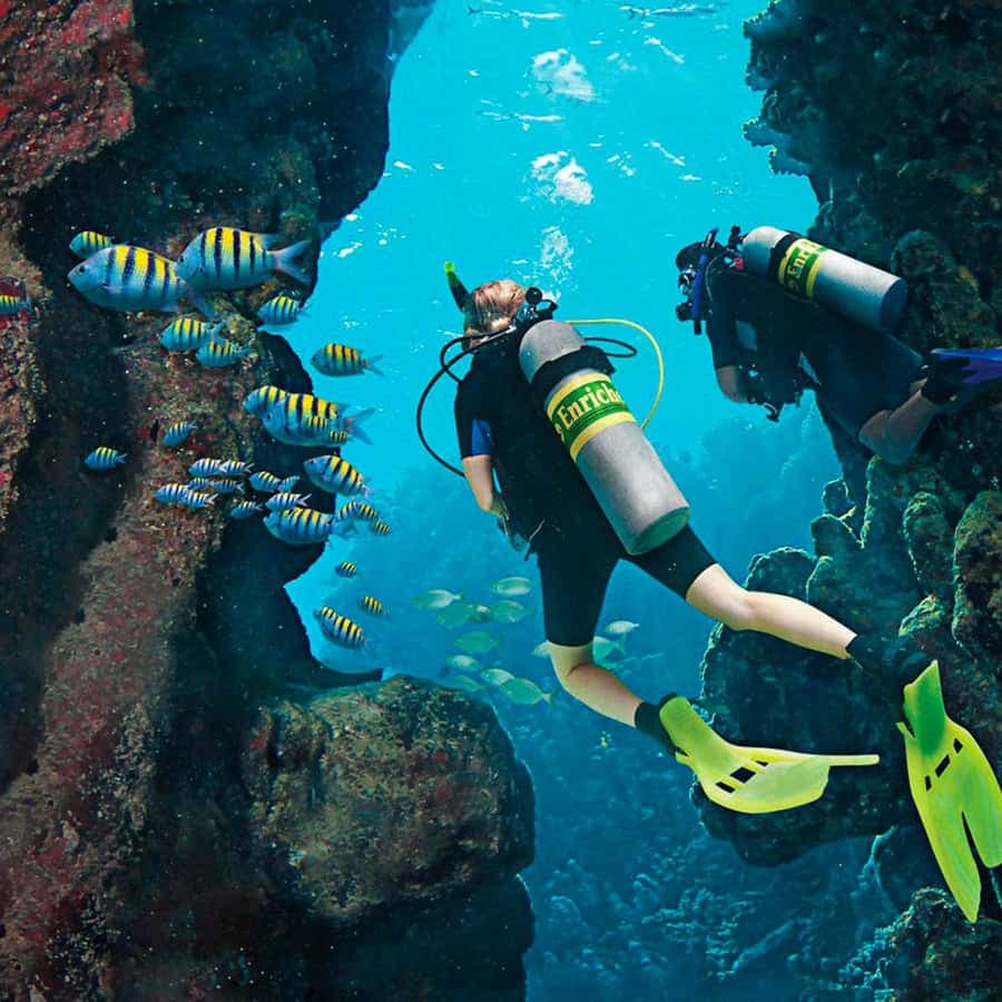 Bayahibe: Catalina Island Scuba Diving Tour with Lunch