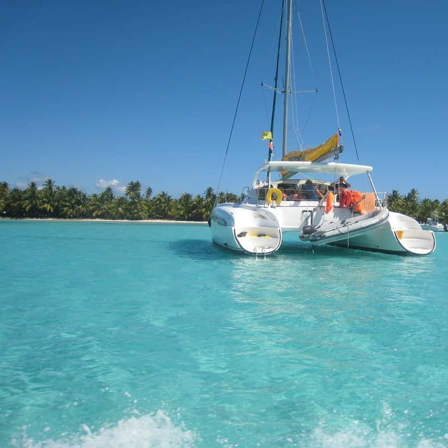 Wild On Punta Cana: Cruise with Snorkeling Half Day
