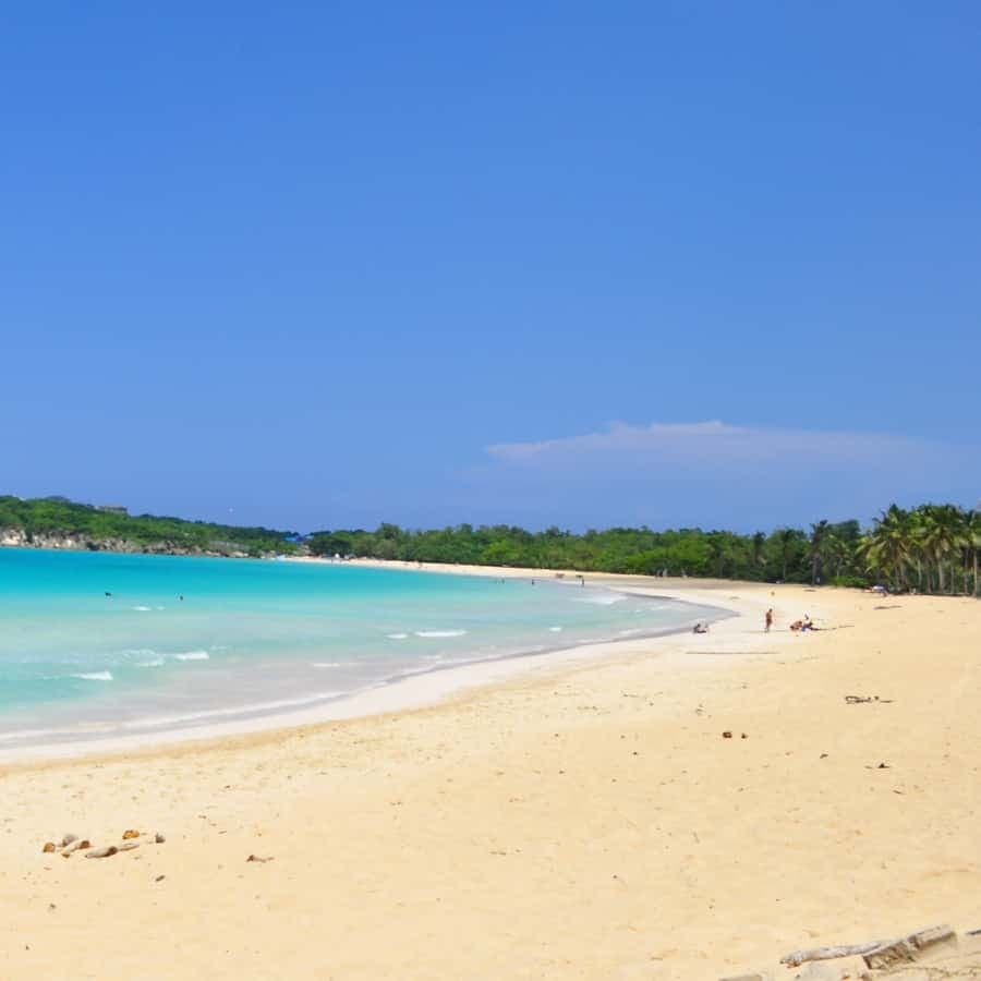 Punta Cana: Saona Island Boat Trip with Lunch