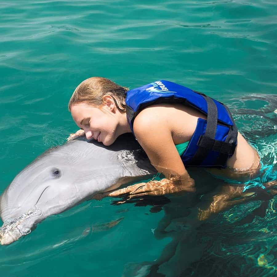 Punta Cana Dolphin Experience: 50 Minutes of Water Fun