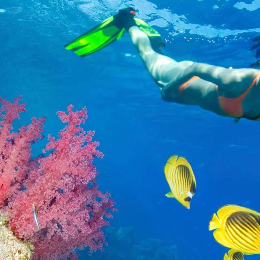 From Punta Cana: Catalina Island Swim, Sail & Snorkel