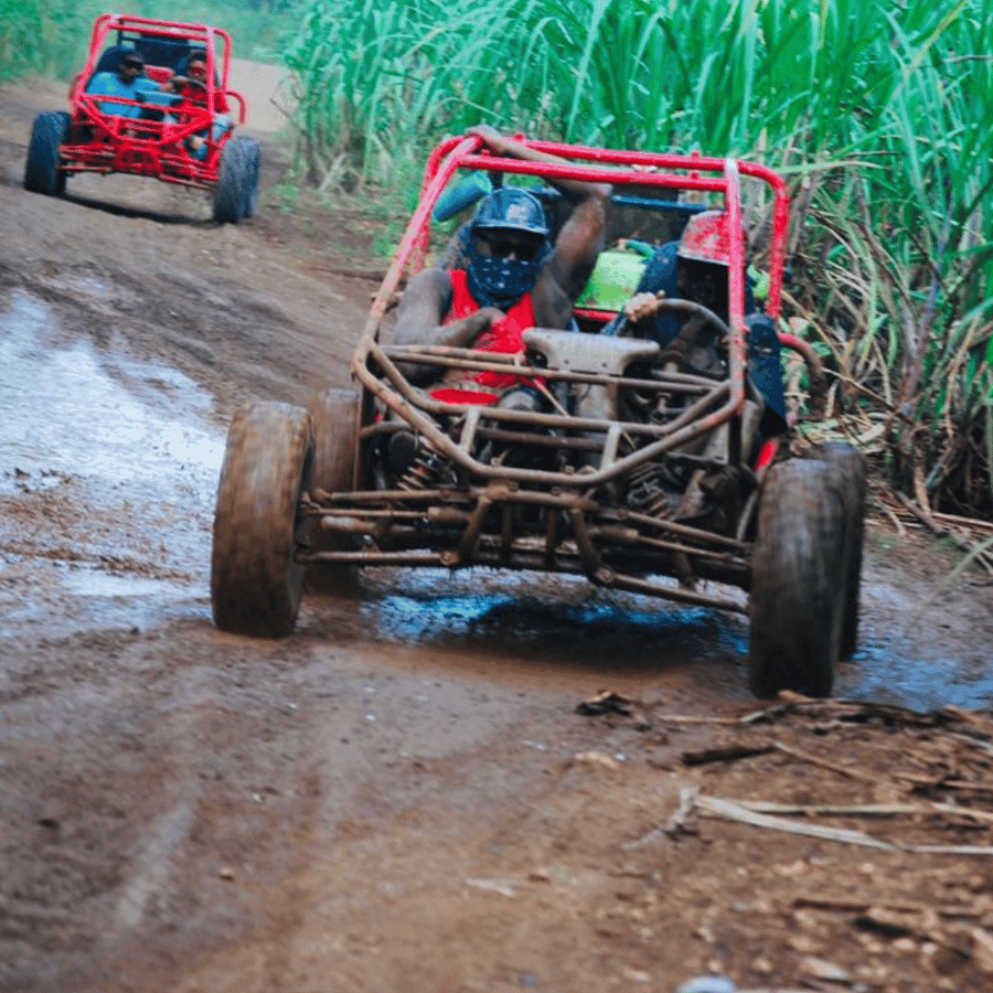 Bayahibe: Buggy tour amazing half-day