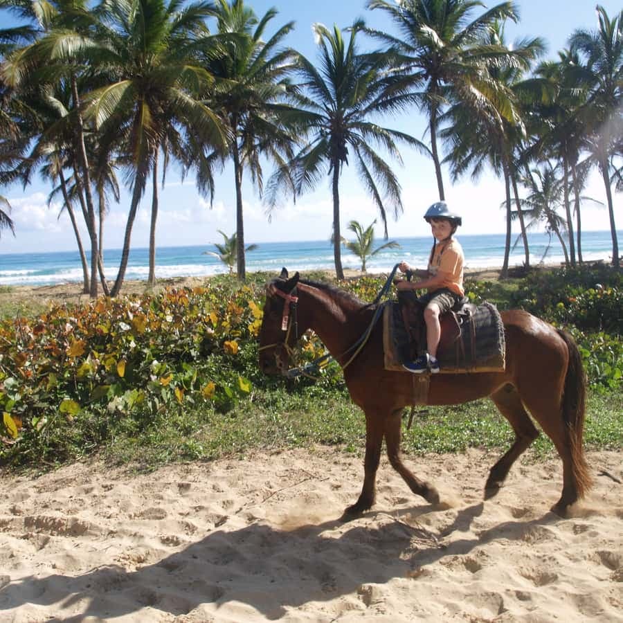 Punta Cana: Horseback Ride to Macao Beach