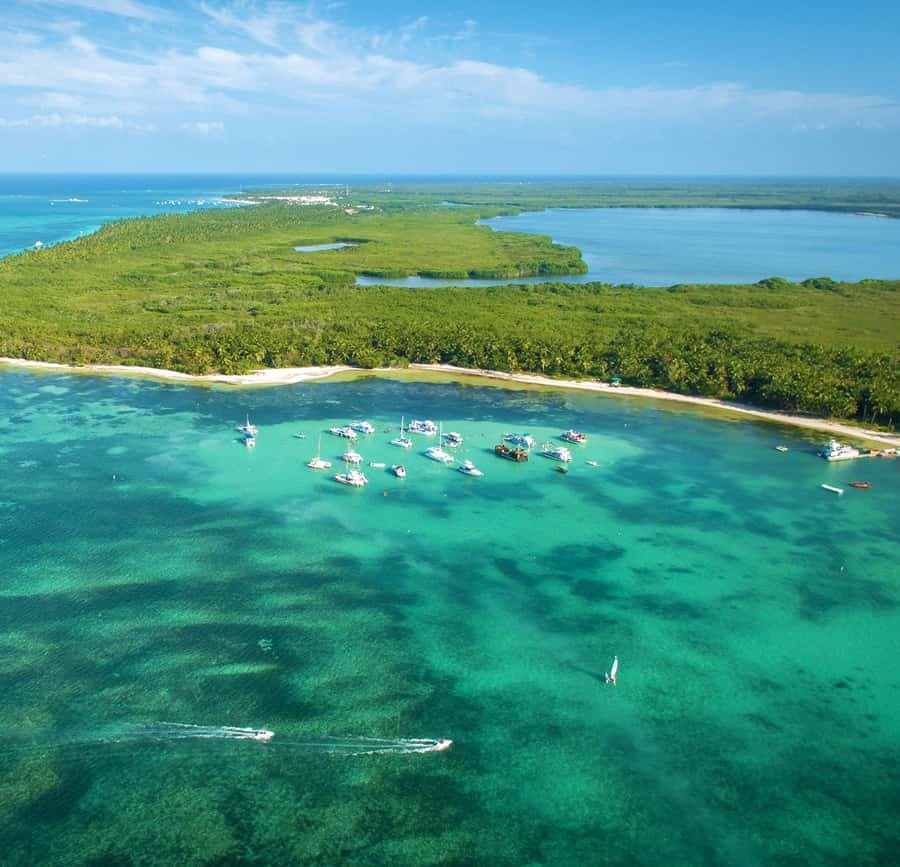 Punta Cana: Catamaran Tour with Food, Drinks, and Snorkeling