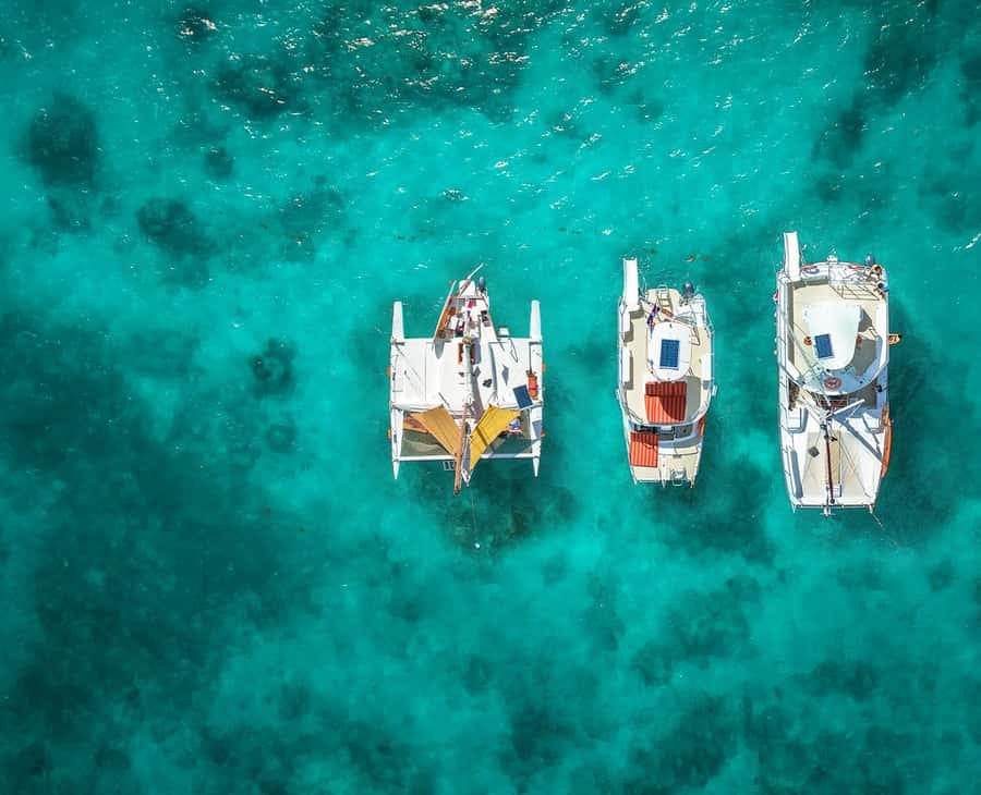 Punta Cana: Catamaran Tour with Food, Drinks, and Snorkeling