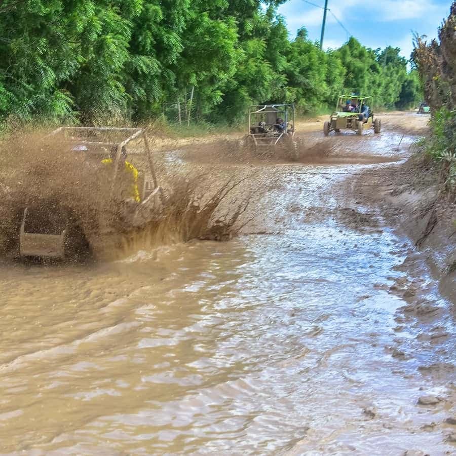 Discover Punta Cana: Buggy Tour, El Macao Beach, Blue Cenote