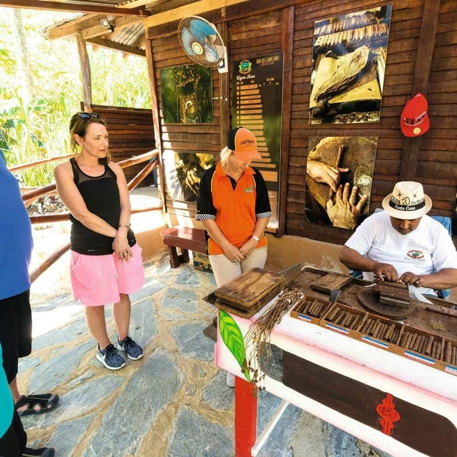 Safari Half Day from Punta Cana