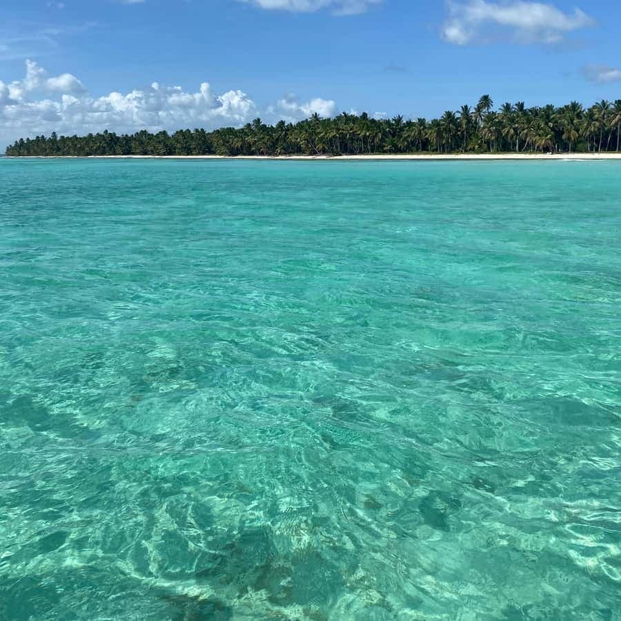 Saona Island in a semi-submarine and snorkeling.