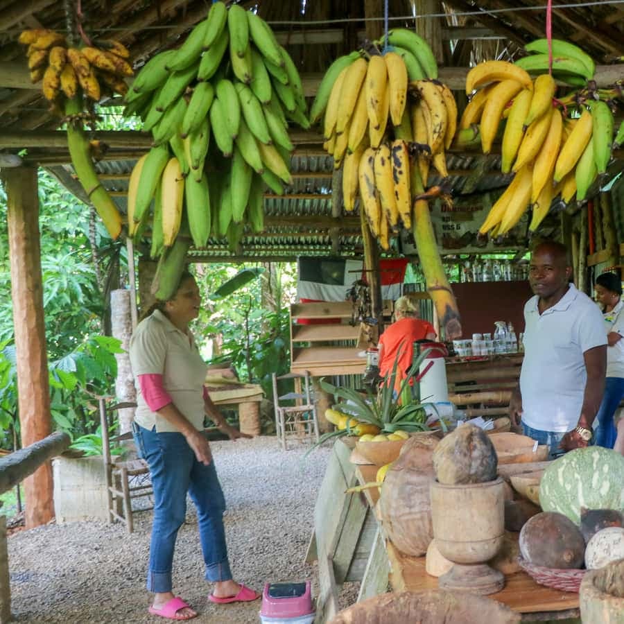 From Punta Cana: Los Haitises and Redonda Mountain Day Trip