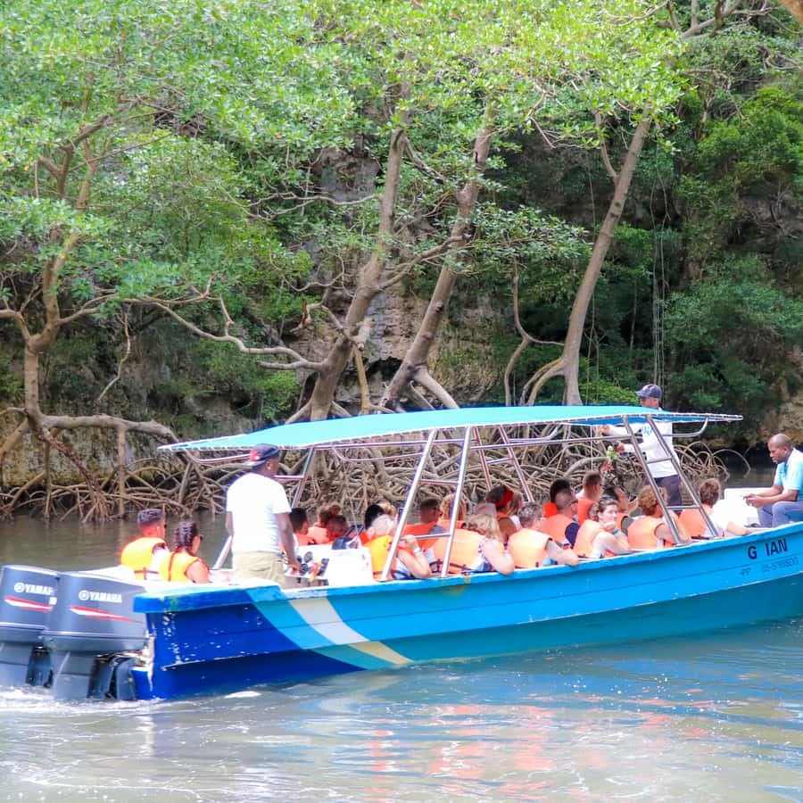 From Punta Cana: Los Haitises and Redonda Mountain Day Trip