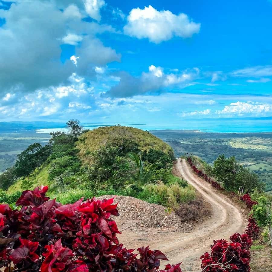 From Punta Cana: Los Haitises Trip with Montaña Redonda Tour