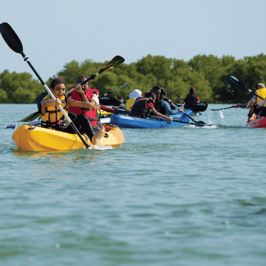 From Punta Cana: Los Haitises & Caño Hondo Private Boat Tour - Dominican Republic