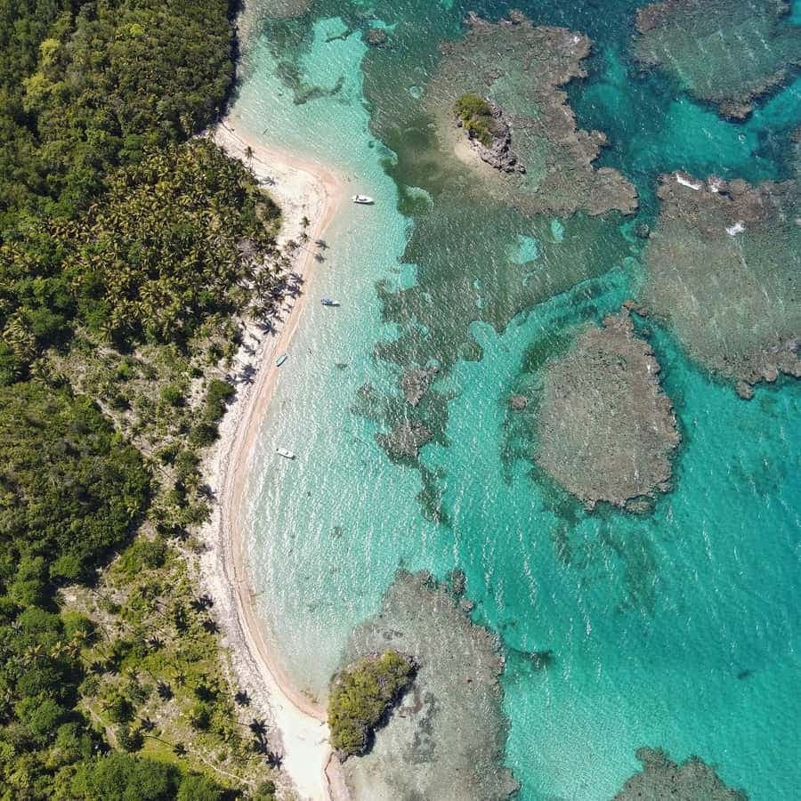 From Los Melones: Saona Island Day Trip with Lunch