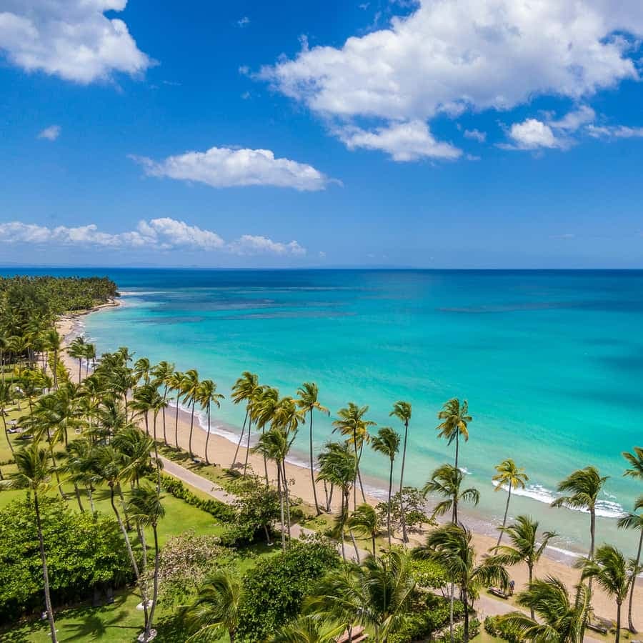 Bayahibe: Whale-Watching Cruise & Cayo Levantado Day Trip