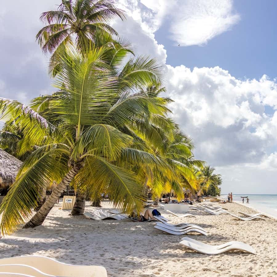 From Punta Cana: Catamaran Cruise to Saona Island with Lunch