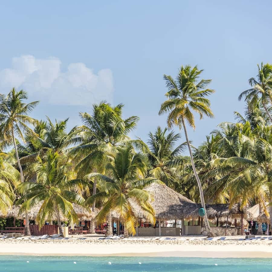 From Punta Cana: Catamaran Cruise to Saona Island with Lunch