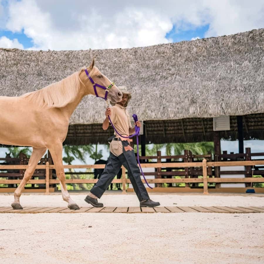 Punta Cana: Xploration Animal Park Bus Tour with Encounters