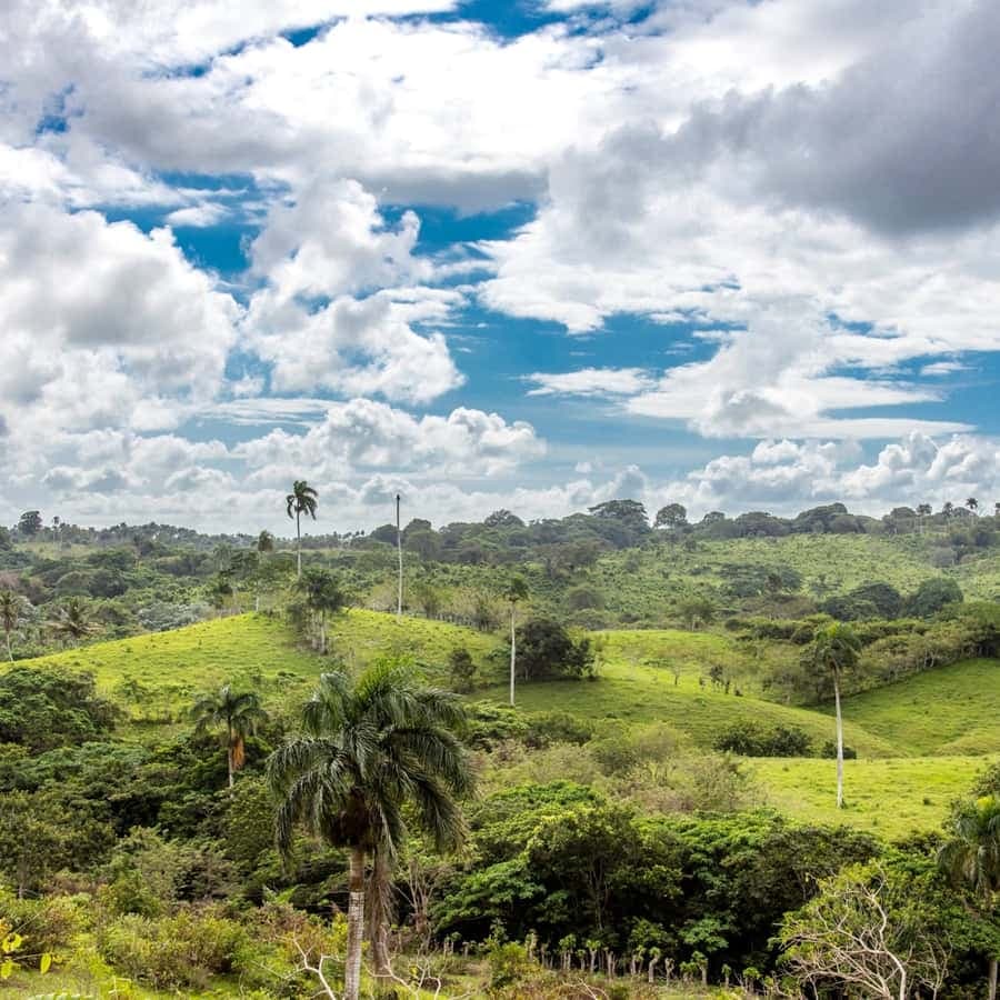 Punta Cana: Anamaya Mountains Walking Tour with Tasting