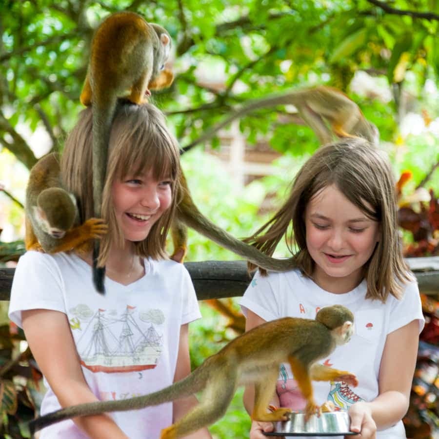 From Bayahibe: Half Day Monkeyland Safari