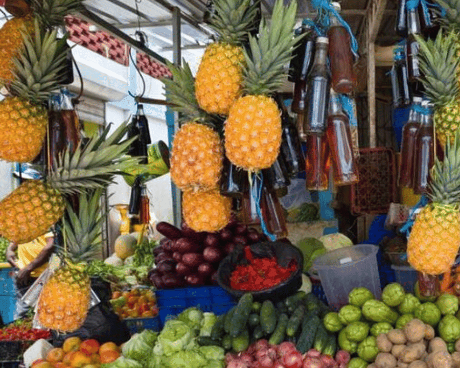 Punta Cana: Dominican Republic Culture Tour