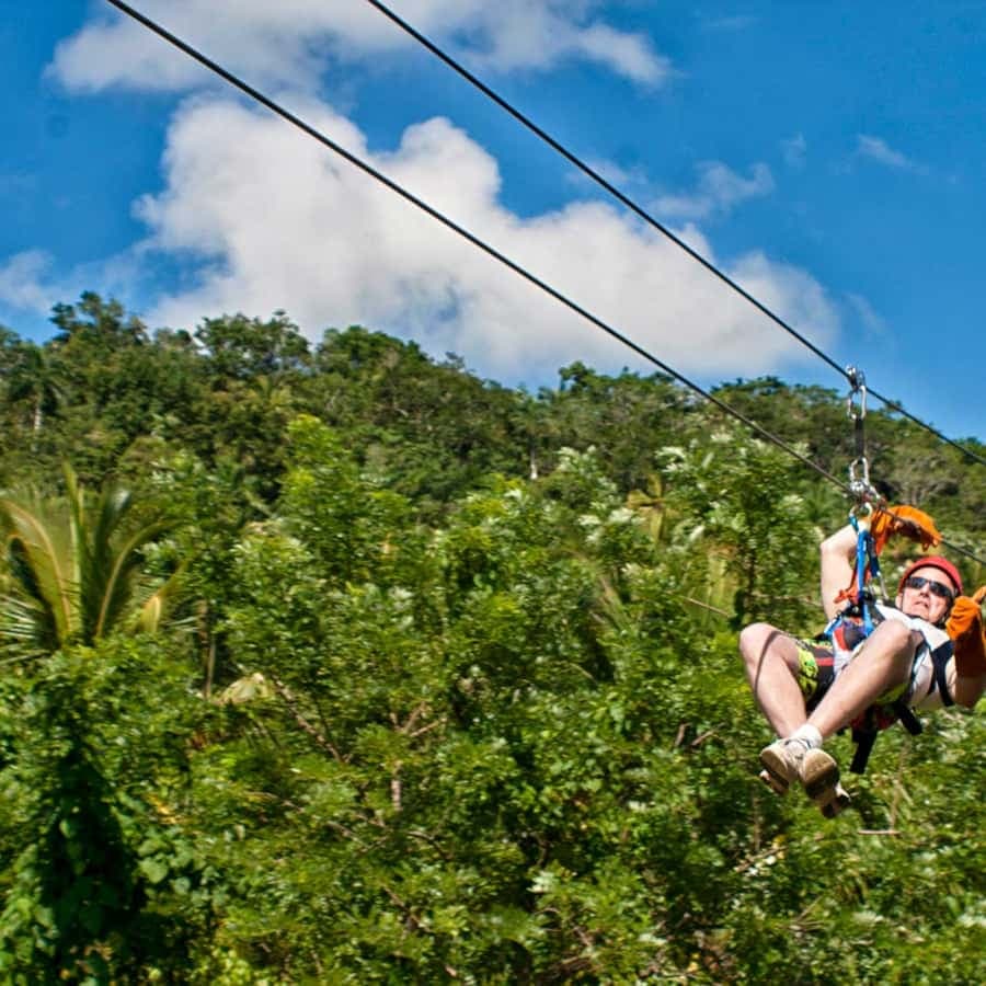 Rainforest Ziplining Adventure