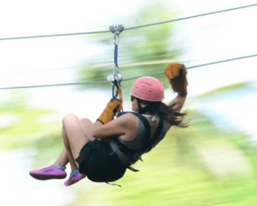 Rainforest Ziplining Adventure