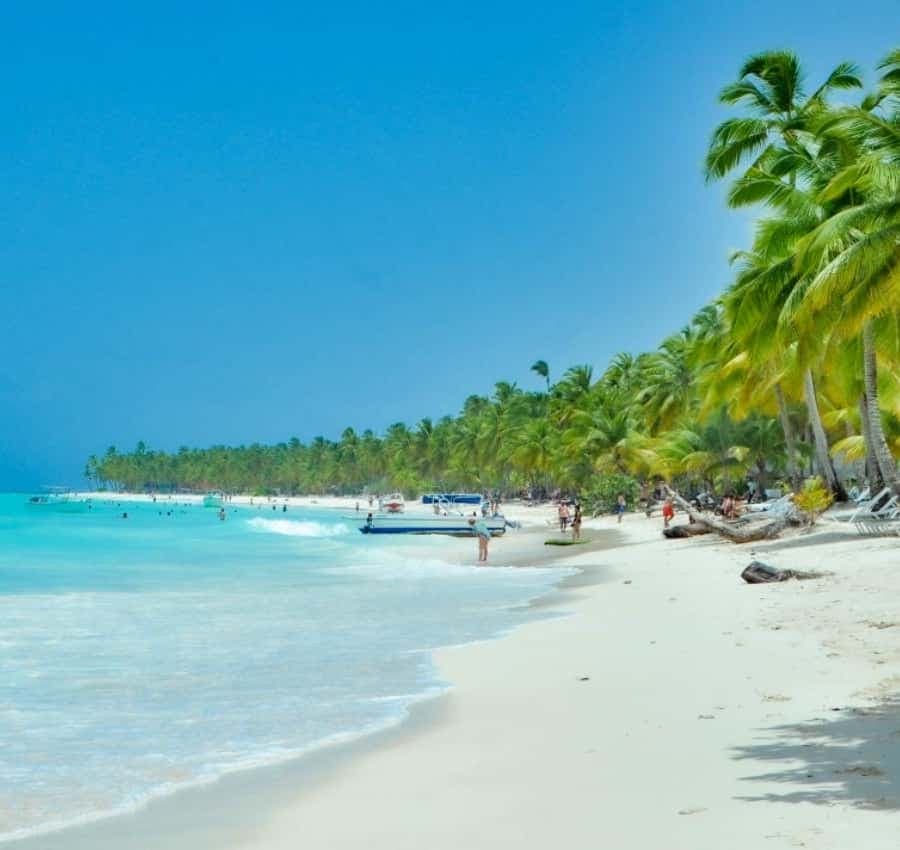 From Punta Cana: Saona Island Private Guided Catamaran Tour - Dominican Republic