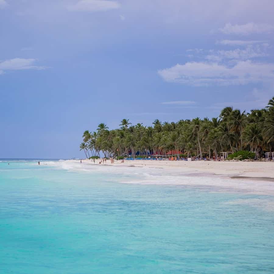 From Punta Cana: Saona Island Private Guided Catamaran Tour
