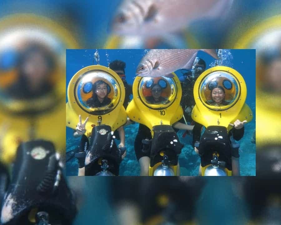 Punta Cana: Scoba Doo Discover the Underwater Wonders