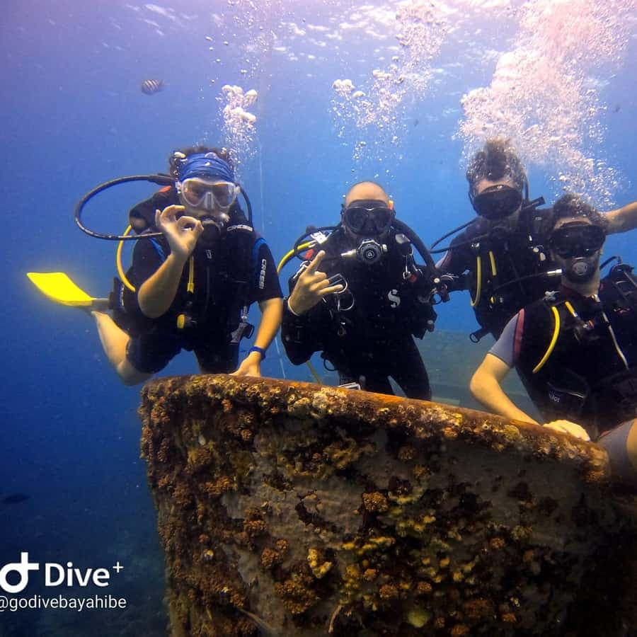 Bayahibe: Scuba Diving Initiation by Go Dive Bayahibe