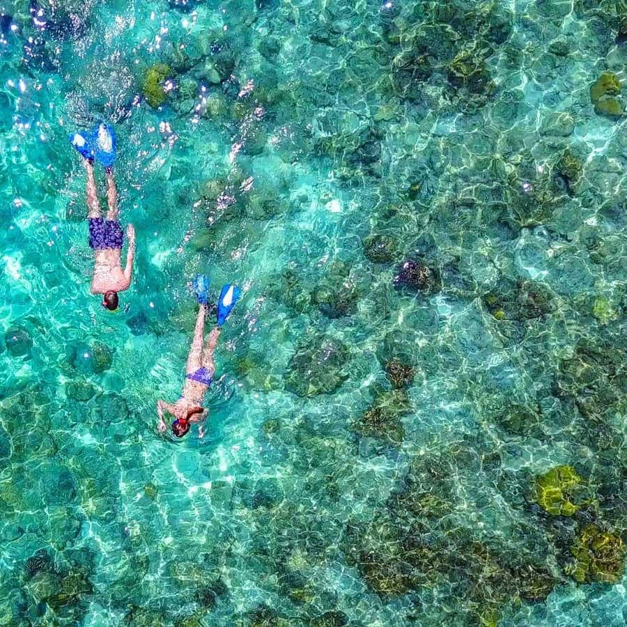 Bayahibe: Snorkeling Tour - Sea, Cotubanama park & Cenotes